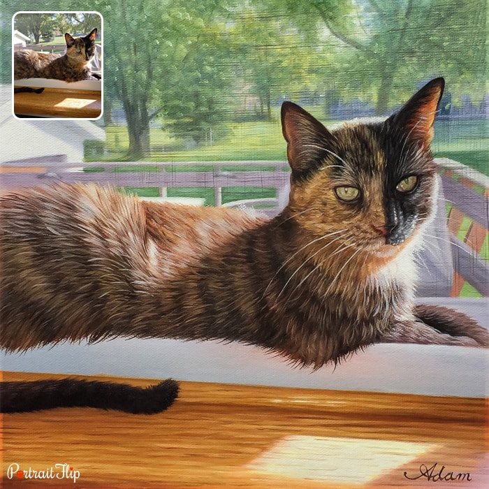 Acrylic painting of a cat lying on side of the window
